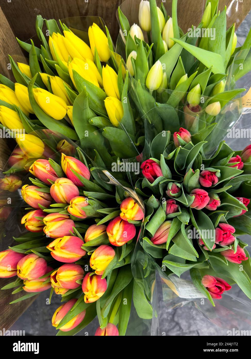 Fleurs tulipes en différentes couleurs jaune Rouge Rouge jaune sont en vente dans supermarché, Allemagne, Europe Banque D'Images