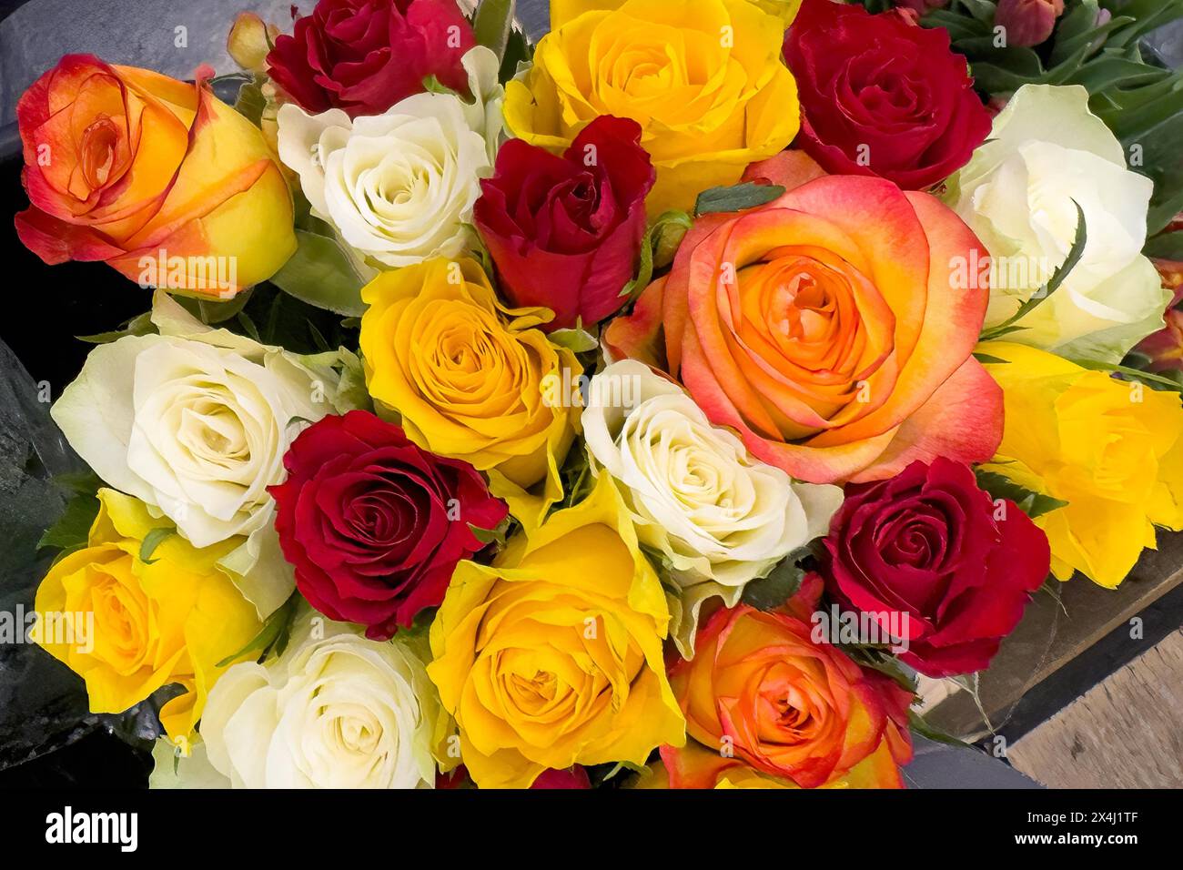 Bouquet coloré de roses dans l'affichage de vente avec des roses de couleur jaune blanc rouge violet orange rose, international Banque D'Images