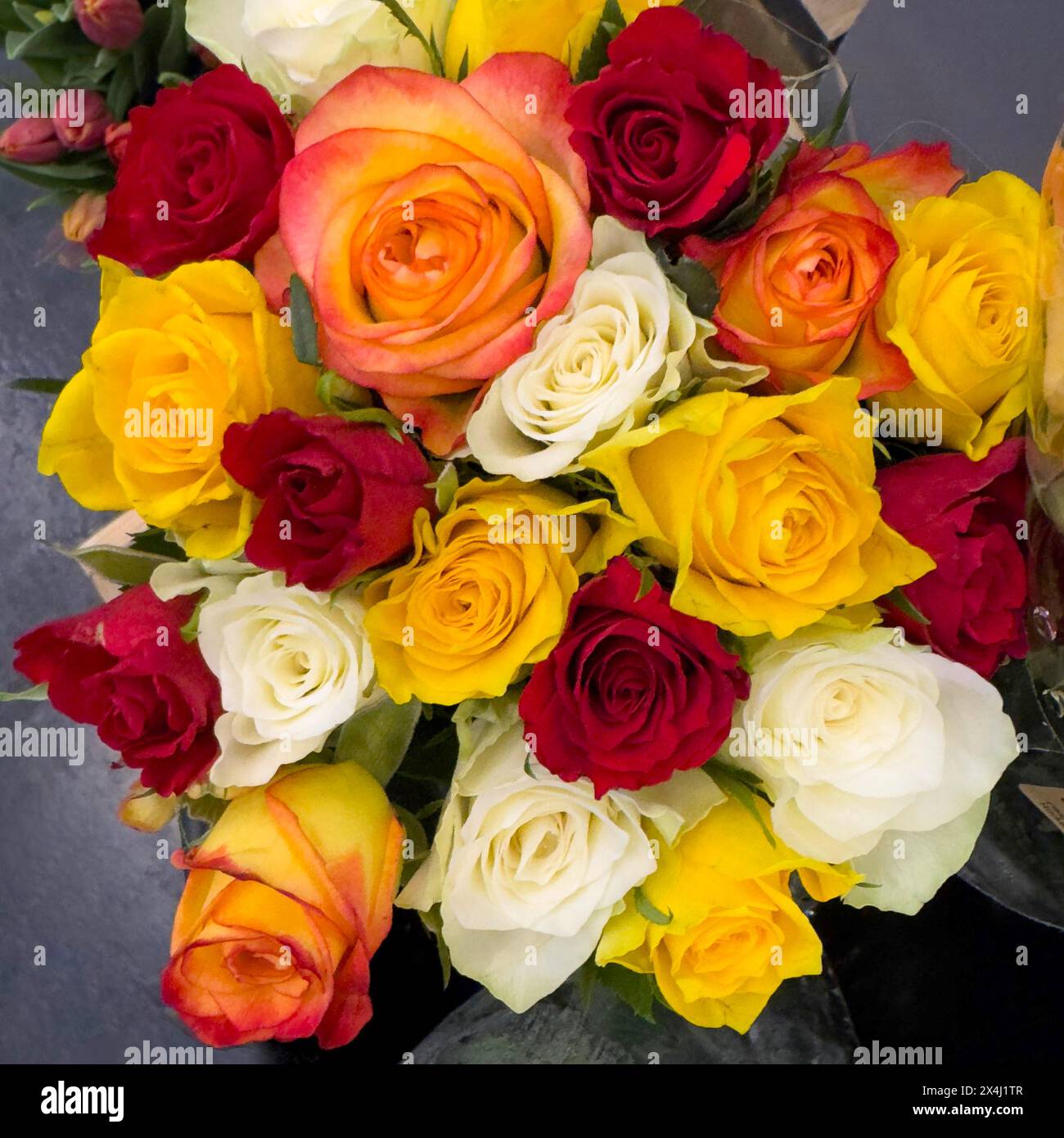 Bouquet coloré de roses dans l'affichage de vente avec des roses de couleur jaune blanc rouge violet orange rose, international Banque D'Images