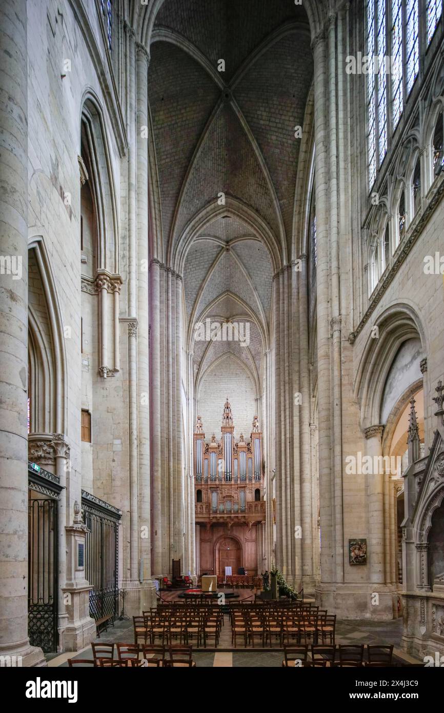 Transept avec orgue, Cathédrale Saint-Julien-du-Mans romane-gothique, le Mans, Sarthe, pays de la Loire, France, Europe Banque D'Images