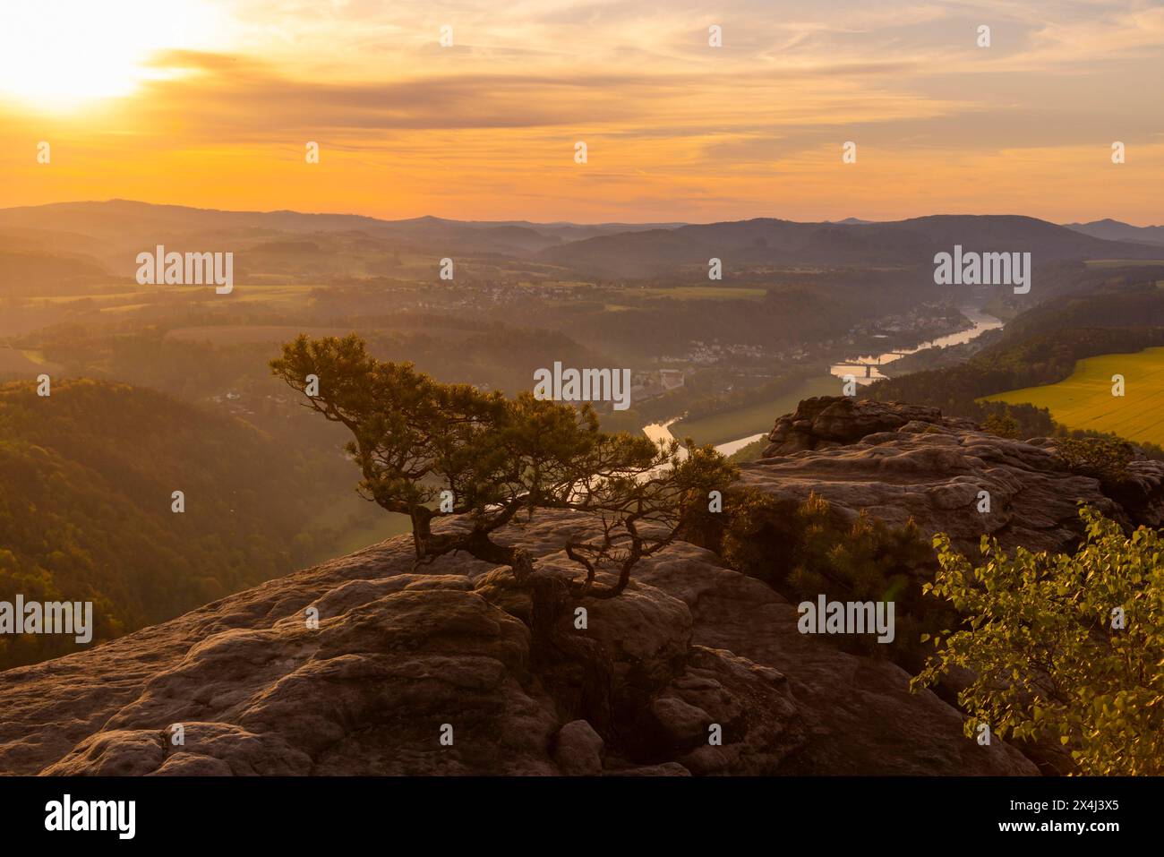 Lever de soleil sur le Lilienstein. Le Lilienstein est le rocher le plus frappant et le plus connu des montagnes de grès de l'Elbe. Vue sur la vallée de l'Elbe vers Banque D'Images