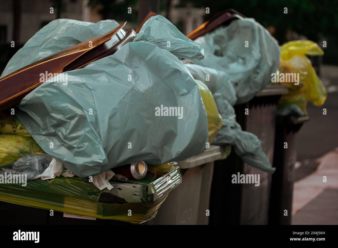 Collecte des poubelles pleines de déchets. Sacs en plastique pleins de déchets dans les bacs. Déchets organiques dans le bac de recyclage. Séparer les déchets, l'écologie, la pollution Banque D'Images