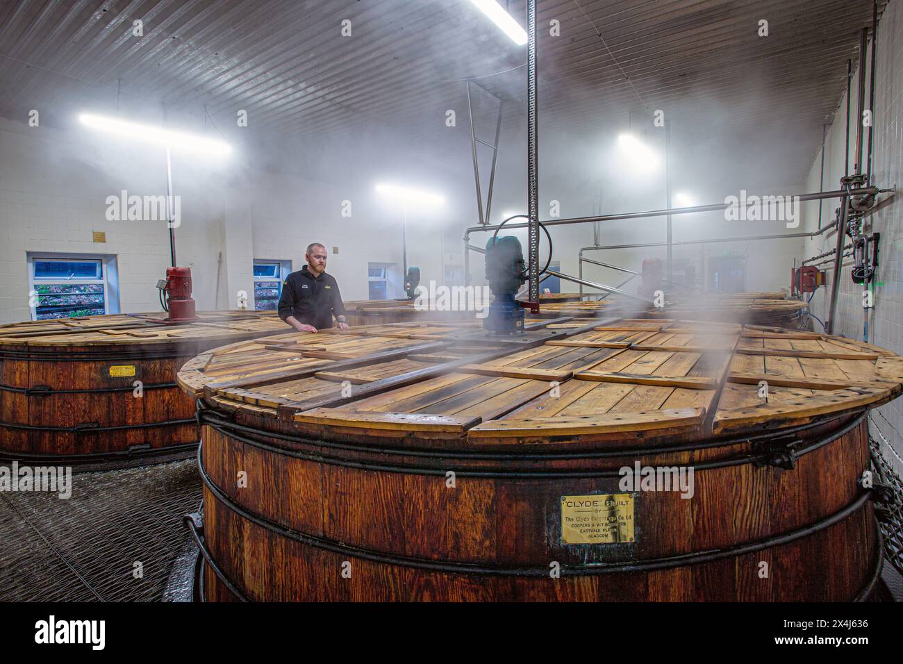 Washbacks at Glengoyne Distillery - Dumgoyne, Stirlingshire, Écosse, Royaume-Uni Banque D'Images