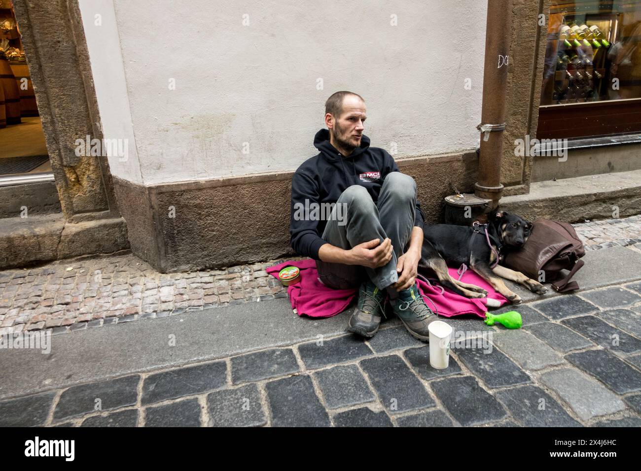 Homme sans-abri avec chien panhandler Beggar Street mendicité Banque D'Images