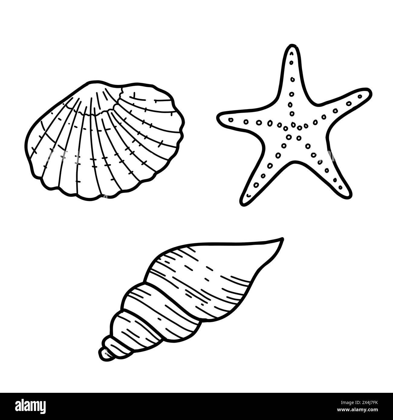 Sea Set. Coquillages de mer dessinés à la main et illustrations vectorielles d'étoiles dans le style doodle. Esquisse simple isolée sur fond blanc. Conception sous-marine Illustration de Vecteur