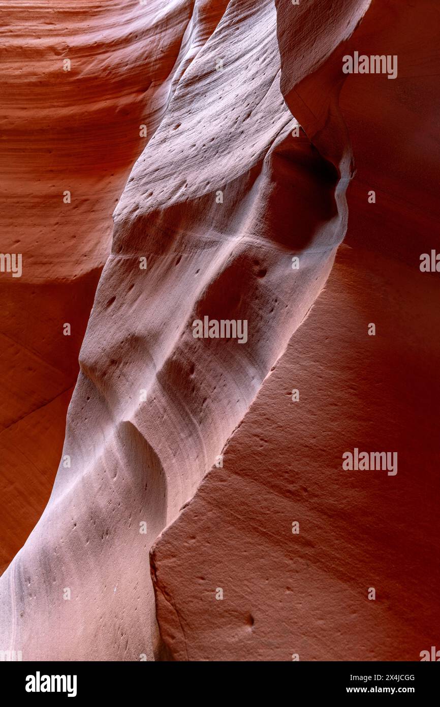 Les motifs de tourbillons sur les murs de grès des canyons à fente en Arizona se forment à partir d'années de vent et de modèles d'écoulement d'eau en raison de la composition de roche molle. Banque D'Images