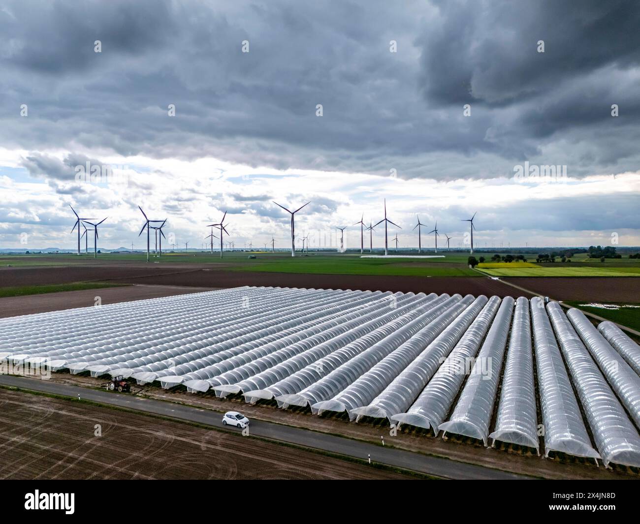 Landwirtschaft, großen Flächen mit Folientunnel, für den Anbau von Erdbeeren, frisch bestellte Felder, Windpark, südlich von Lövenich, gehört zu Erkelenz, im Kreis Heinsberg, Folientunnel *** Agriculture, grandes surfaces avec tunnel de feuille, pour la culture de fraises, champs fraîchement cultivés, parc éolien, au sud de Lövenich, appartient à Erkelenz, dans le quartier de Heinsberg, tunnel de fleuret Banque D'Images