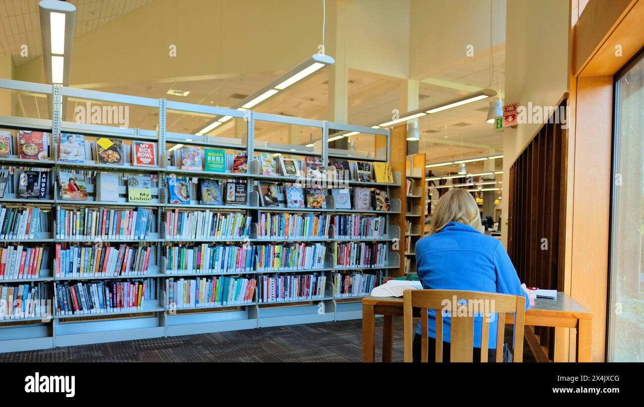 Femme patron de bibliothèque travaillant sur une table dans une bibliothèque publique ; étagères avec des livres dans une bibliothèque publique avec un utilisateur lisant à une table. Banque D'Images