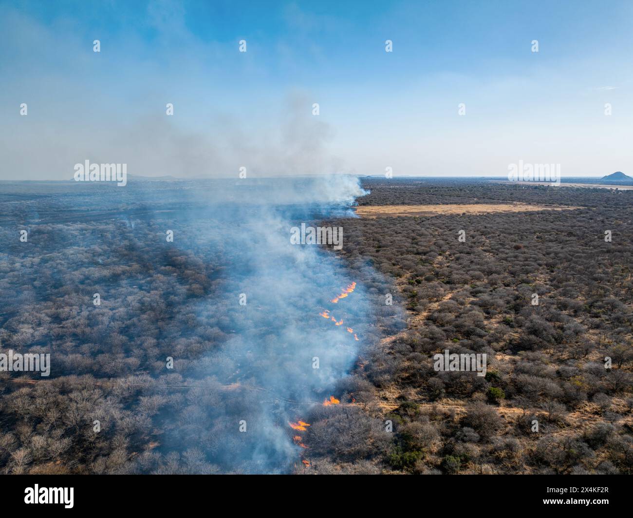 feu de brousse aérien afrique, catastrophe naturelle, déforestation pour planter des cultures, brûlage contrôlé Banque D'Images