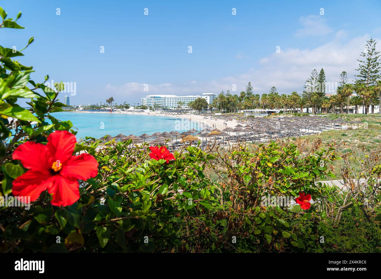 Paysage avec plage de Nissi, Ayia Napa, île de Chypre Banque D'Images