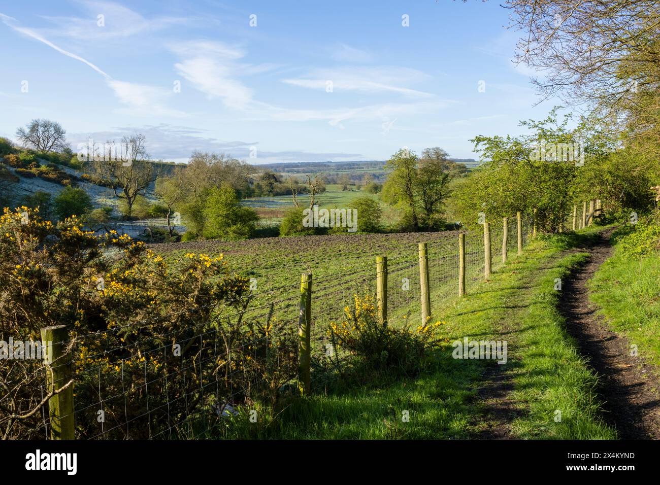 Vue sur Witton Valley au printemps Banque D'Images