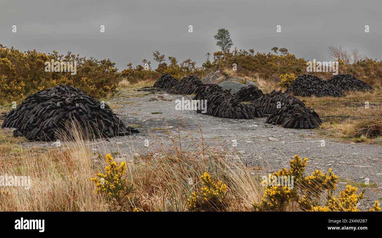 Plusieurs tas de tourbe asséchés dans la zone des tourbières Moycullen de Galway Banque D'Images