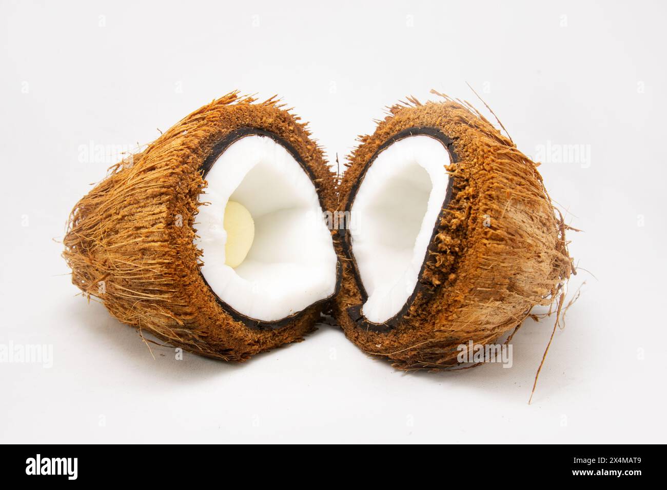Une noix de coco recouverte de fibre de coco ou de noix de coco qui a chair blanche ou de la viande de noix de coco et embryon de noix de coco à l'intérieur tranché en deux. Banque D'Images