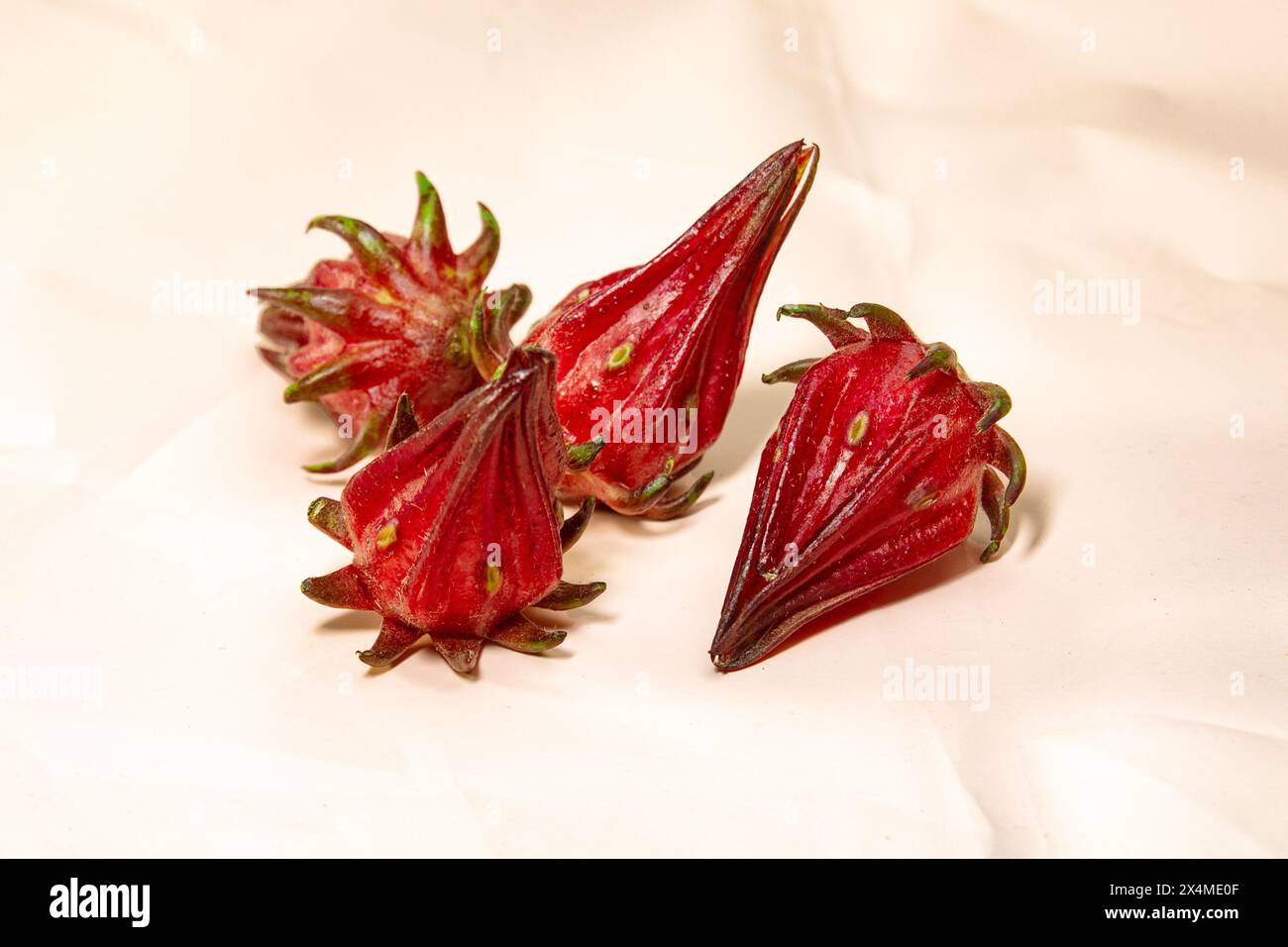La fleur de Roselle est une herbe au goût aigre et est couramment utilisée pour faire du thé. Hibiscus sabdariffa. Banque D'Images