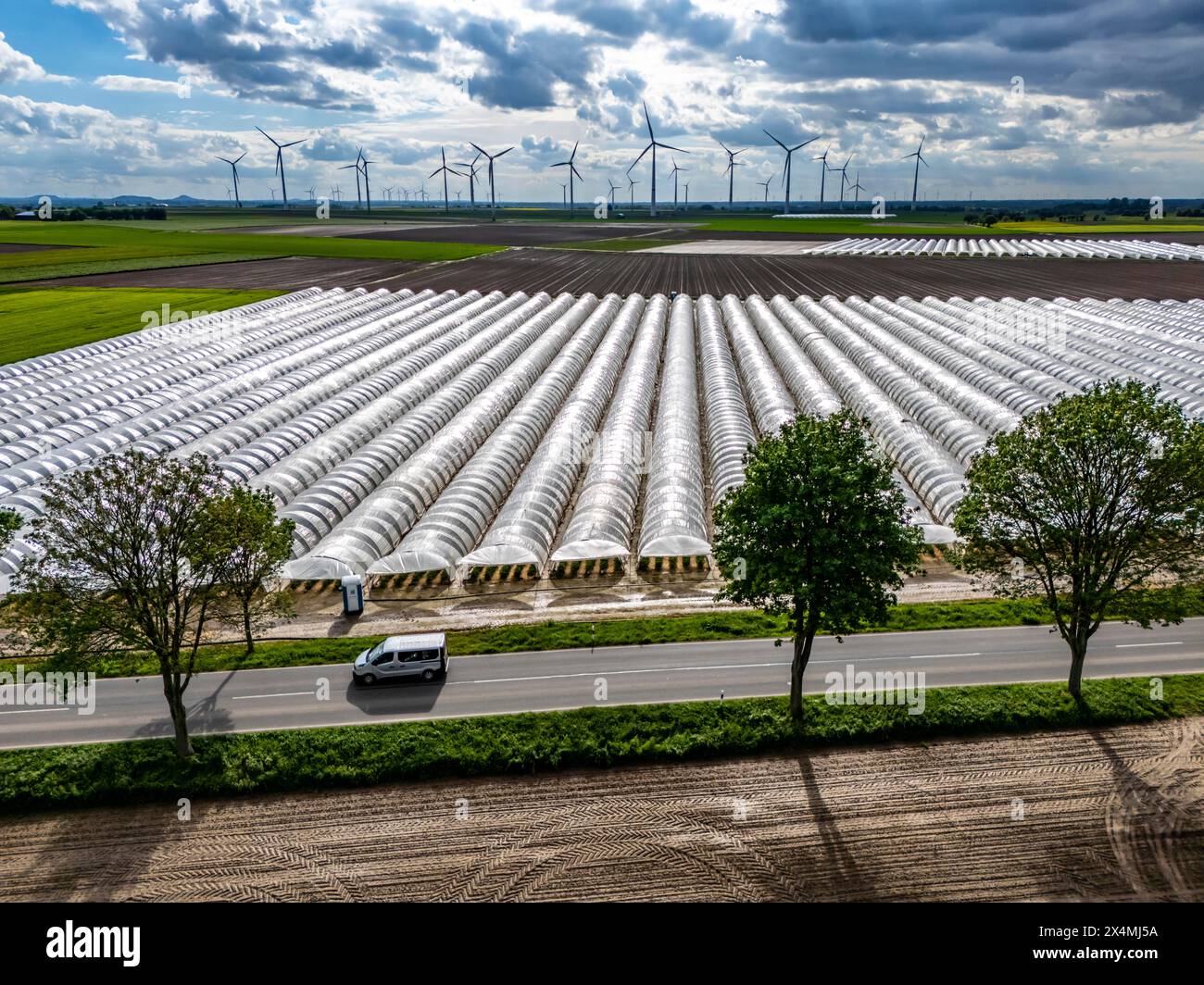 L'agriculture, grandes surfaces avec tunnel de feuille, pour la culture des fraises, champs fraîchement cultivés, parc éolien, au sud de Lövenich, appartient à er Banque D'Images