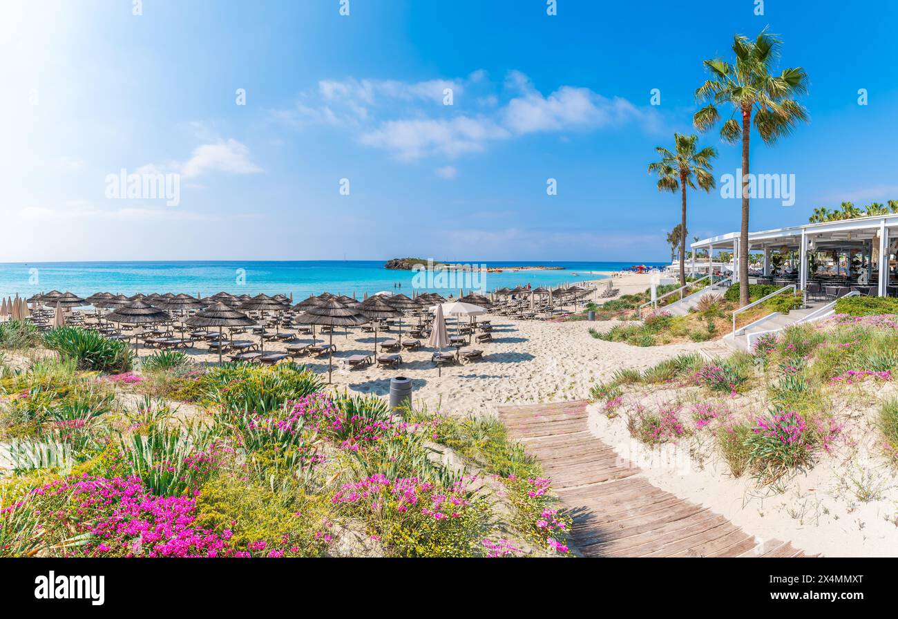 Découvrez la plage immaculée de Nissi à Chypre, un paradis au sable blanc et aux eaux turquoises, parfait pour la détente, les sports nautiques et les vacances en famille Banque D'Images