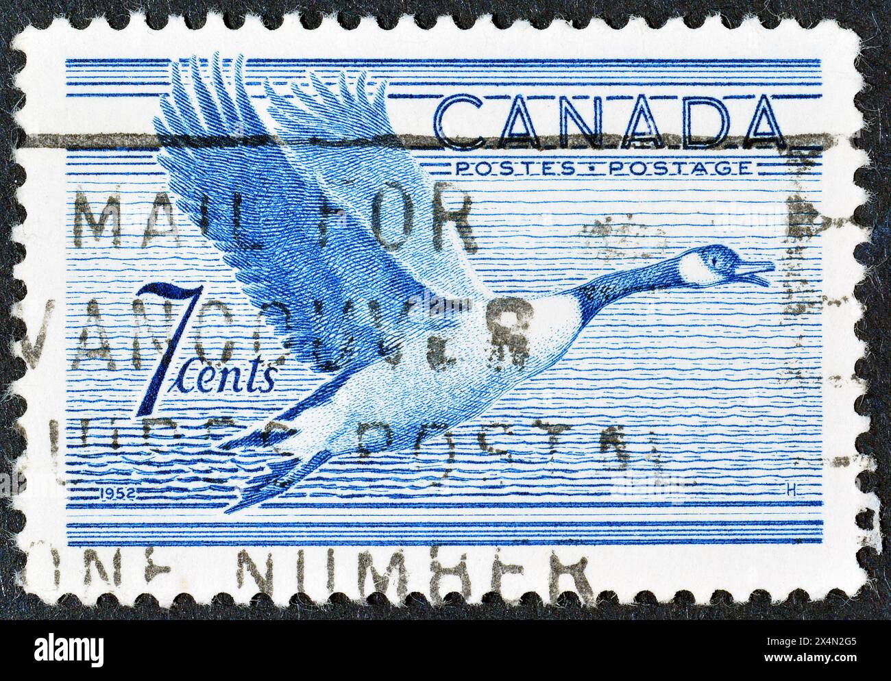 Timbre-poste oblitéré imprimé par le Canada, qui montre l'oie du Canada (Branta canadensis) en vol, vers 1952. Banque D'Images