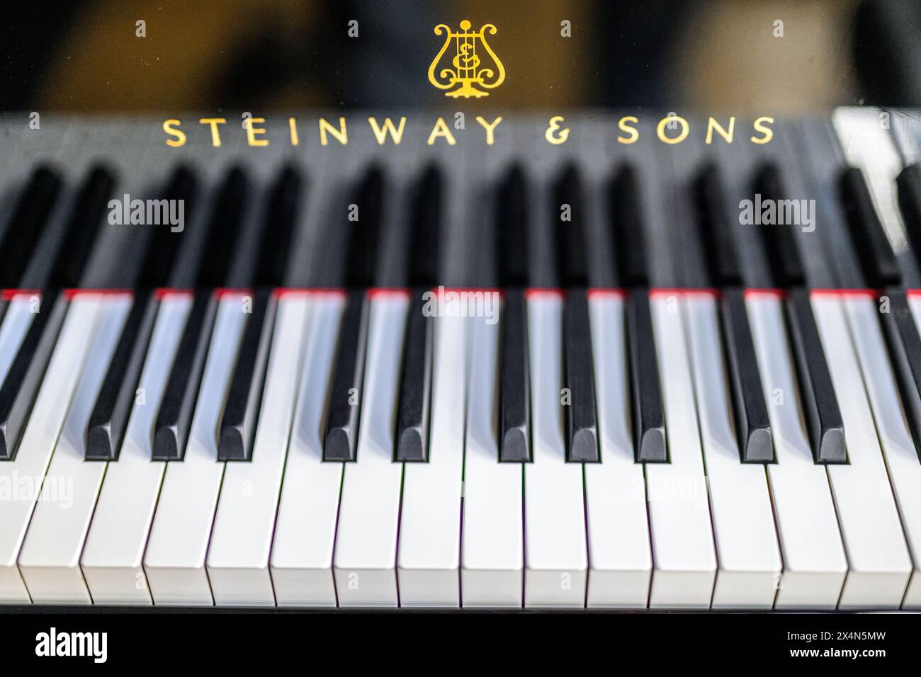 Touches noires et blanches d'un piano Steinway & sons avec une mise au point nette. Banque D'Images