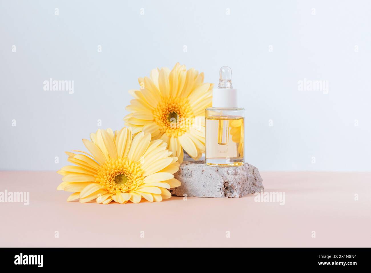 Bouteille de sérum cosmétique sur podium en pierre avec des fleurs de gerbera jaunes sur fond beige et blanc. Vue de face. Banque D'Images