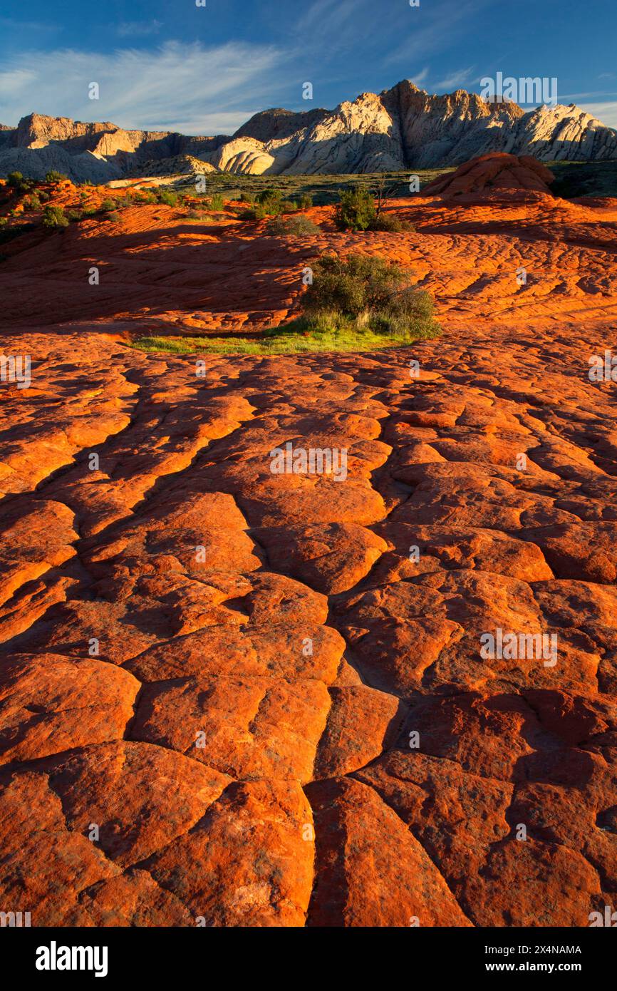 Vue depuis Petrified Dunes Trail, parc national de Snow Canyon, Utah Banque D'Images