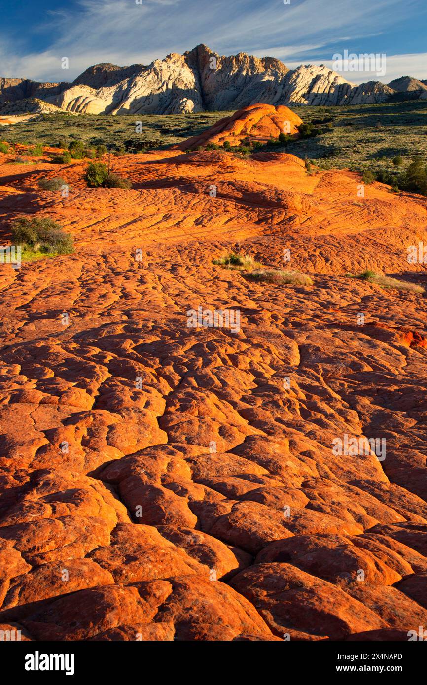 Vue depuis Petrified Dunes Trail, parc national de Snow Canyon, Utah Banque D'Images