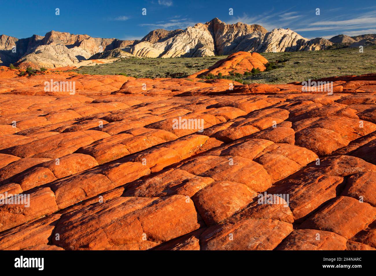 Vue depuis Petrified Dunes Trail, parc national de Snow Canyon, Utah Banque D'Images
