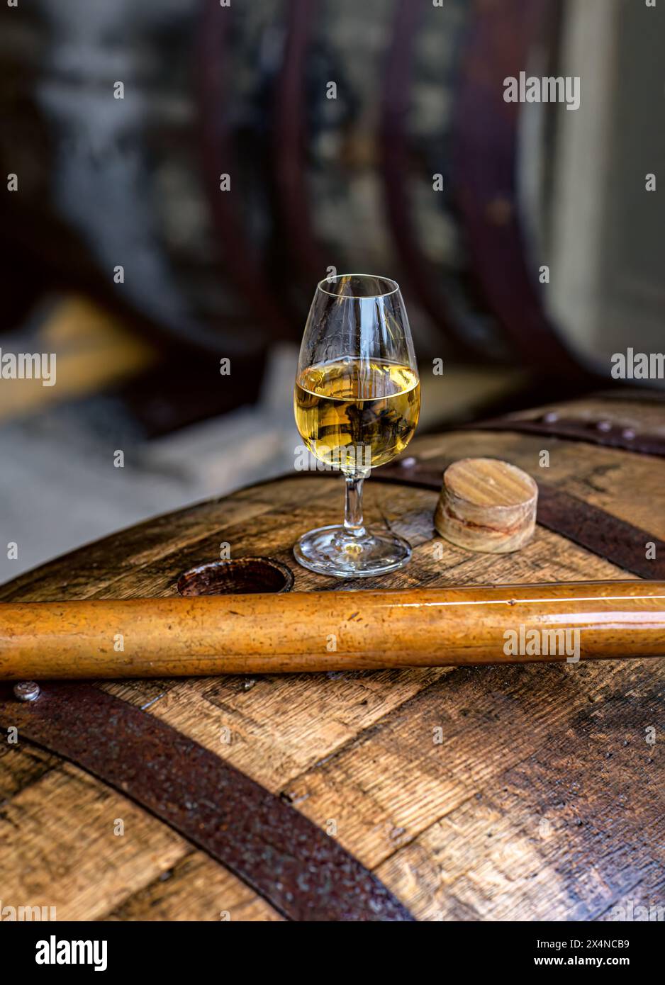 Dégustation de whisky écossais bio à partir d'un bonghole de fût de chêne, en utilisant un long outil d'échantillonnage de fûts à alcool de valinch de cuivre à NC'nean ,Morvern , Écosse. Banque D'Images