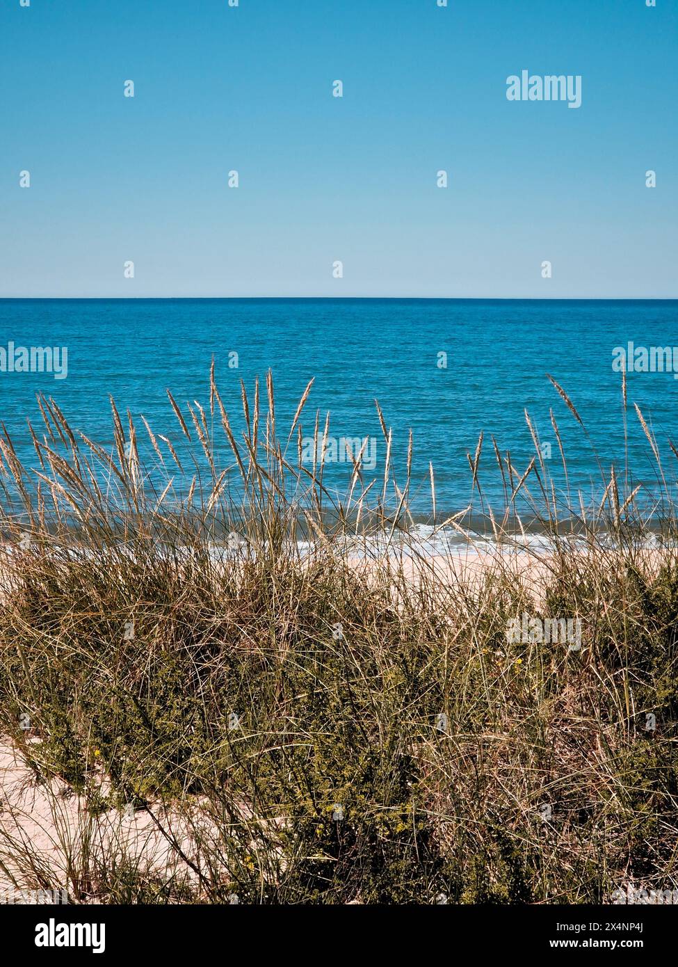 Paysage marin tranquille capturant la beauté sereine d'une plage déserte, encadrée par une douce dune de sable et une végétation luxuriante sous un ciel bleu clair Banque D'Images