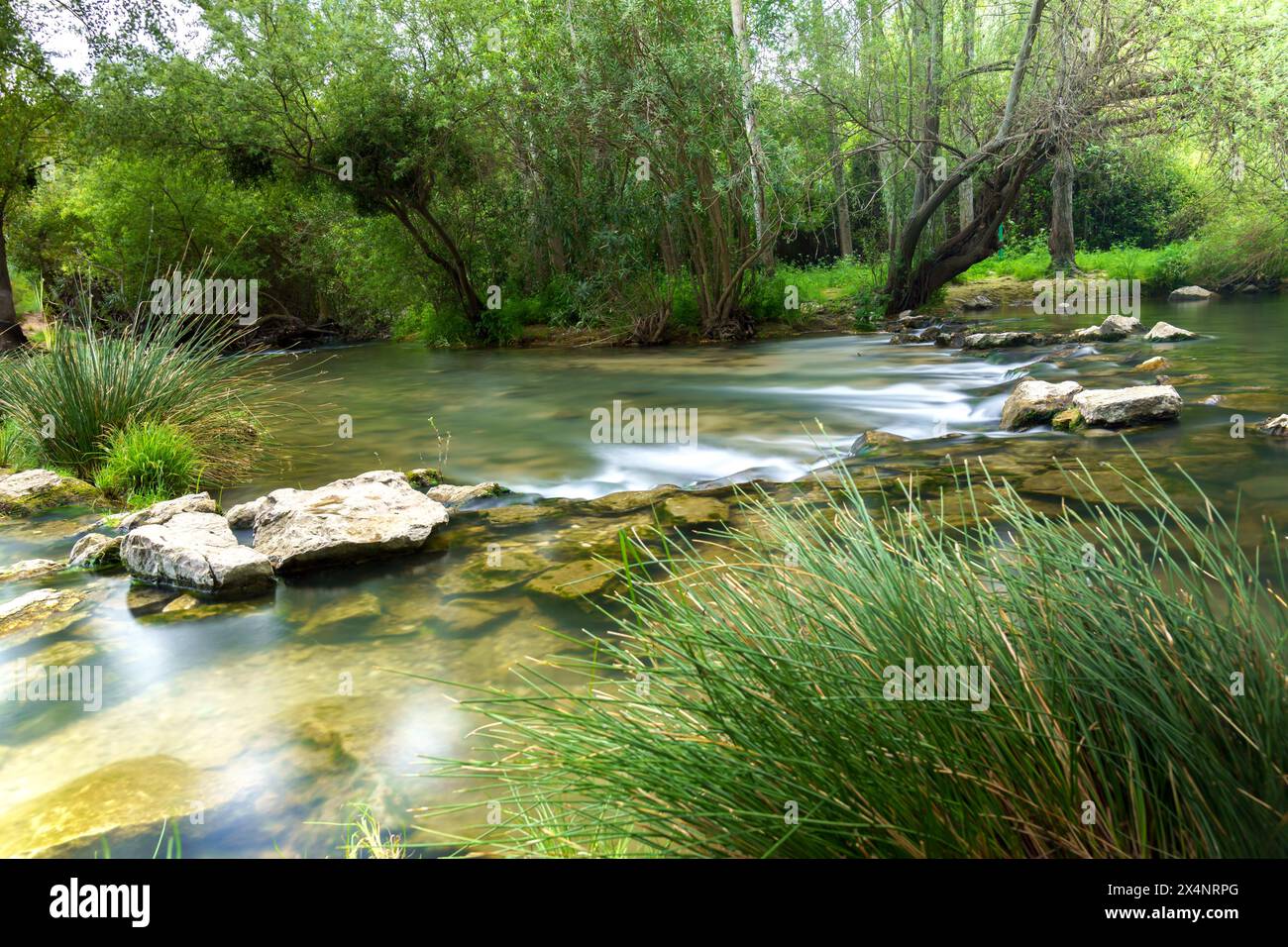 Cascade d'une rivière de montagne avec végétation luxuriante effet soie photographie longue exposition Banque D'Images