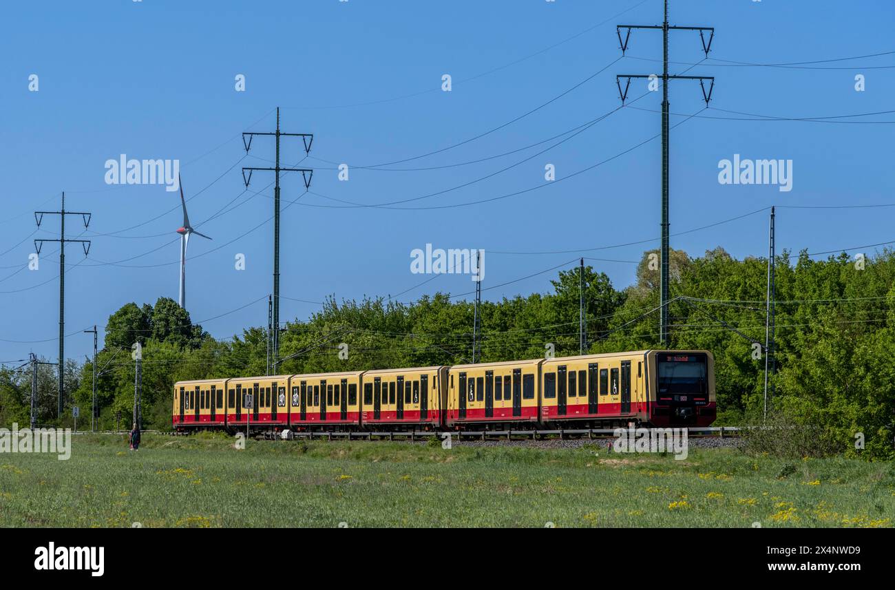 Ligne de chemin de fer de banlieue dans le paysage de Berlin Beech, Berlin, Allemagne, Europe Banque D'Images