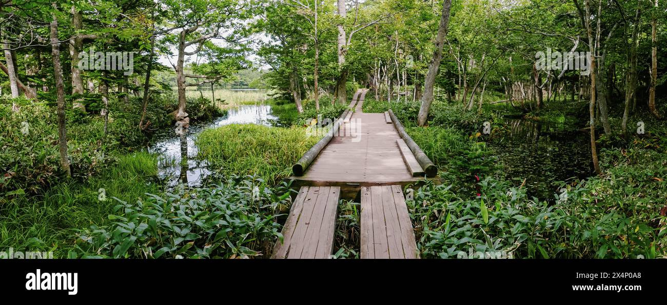 Vue panoramique à la fin de l'été sur le sentier autour du lac Sanko des lacs Shiretoko Goko à Hokkaido, Japon. Banque D'Images