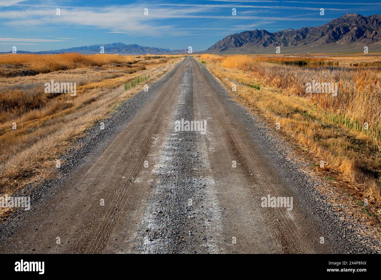 Auto Tour Road, réserve naturelle nationale de Fish Springs, Utah Banque D'Images