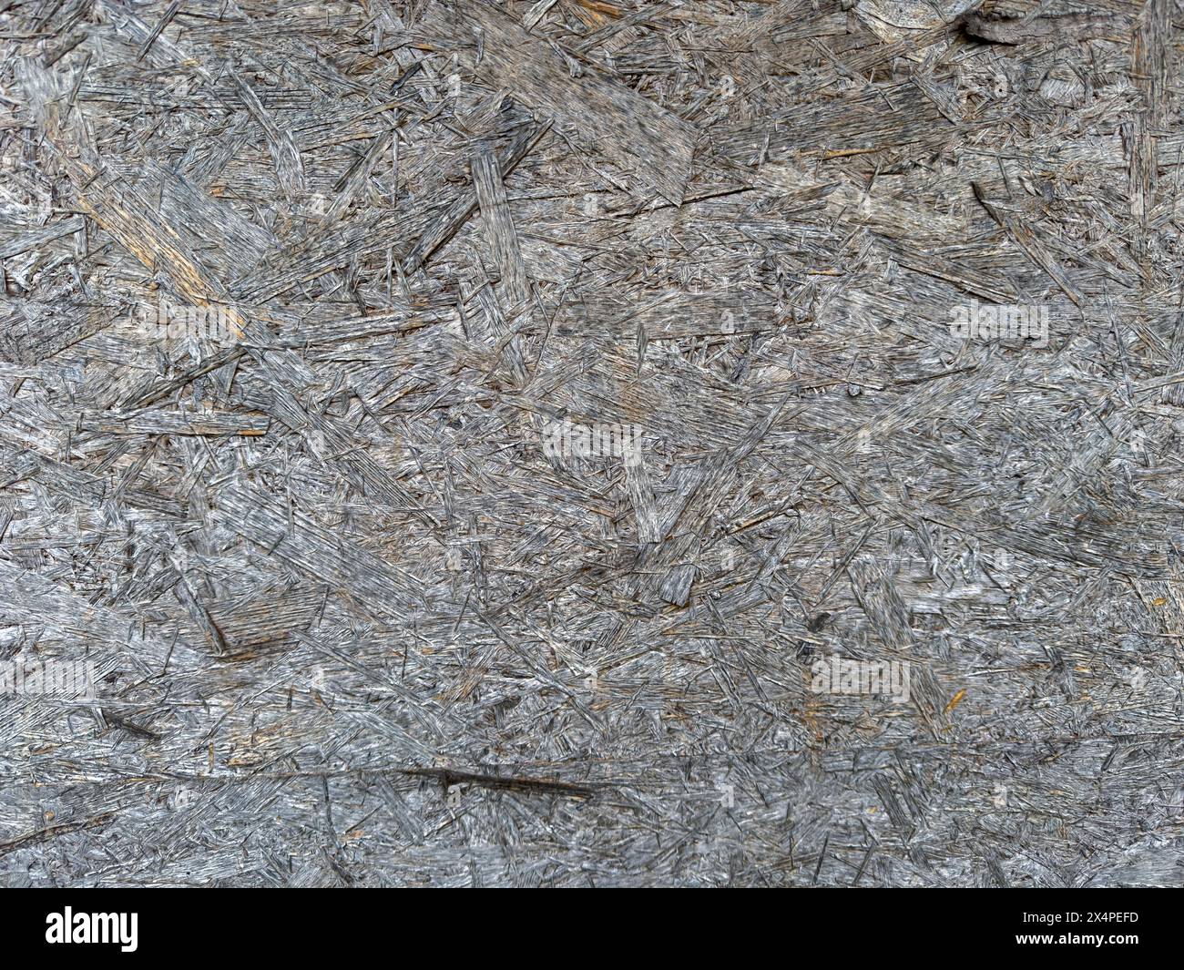 texture de fond de mur en bois Banque D'Images
