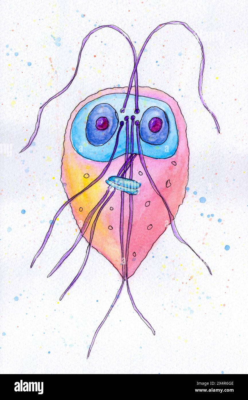 Illustration du protozoaire de Giardia intestinalis. Ce protozoaire flagellé provoque la maladie diarrhéique giardiase. Banque D'Images