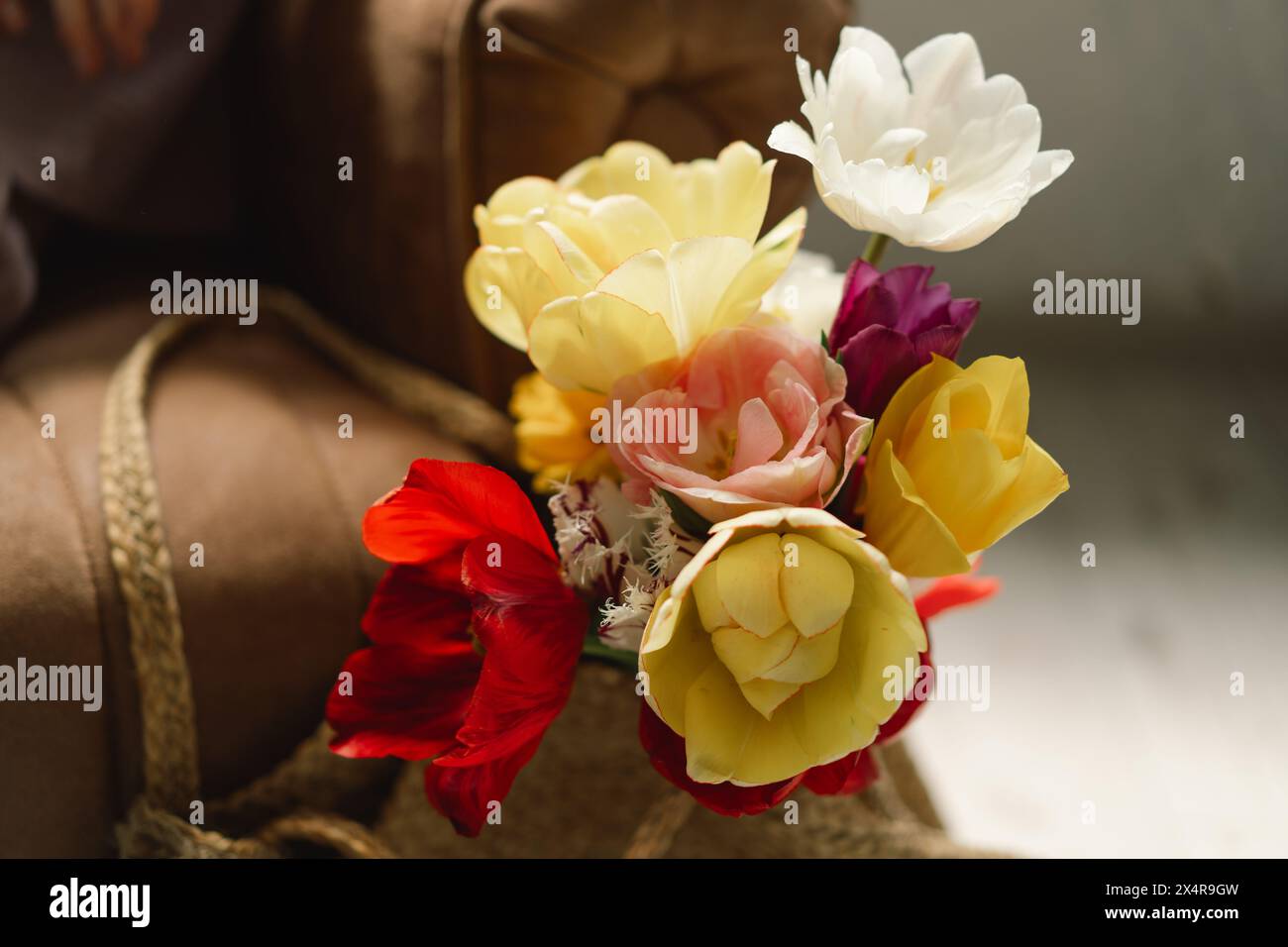 Assortiment coloré de tulipes Banque D'Images