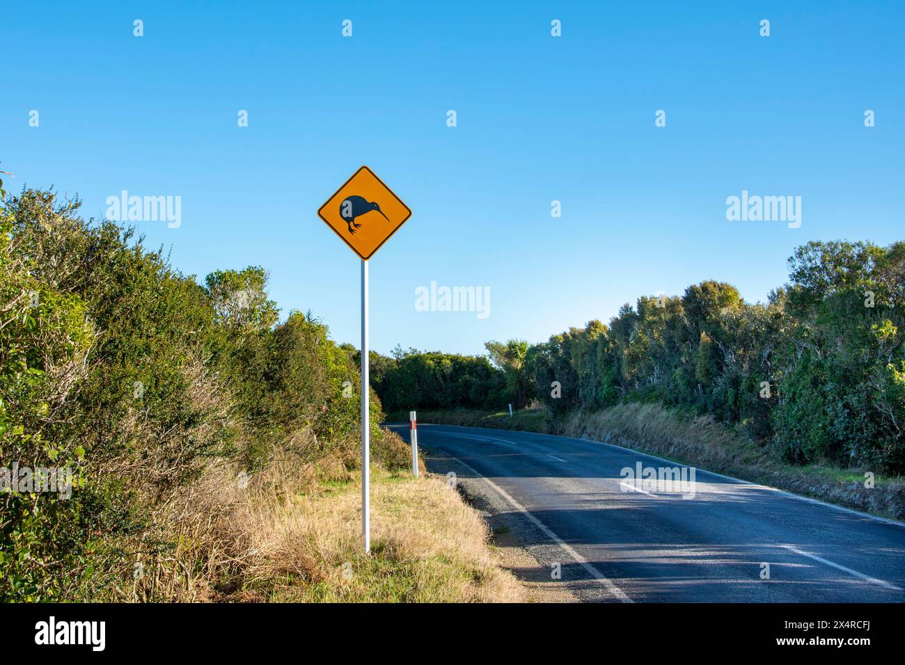 Kiwi Road Sign - Nouvelle-Zélande Banque D'Images