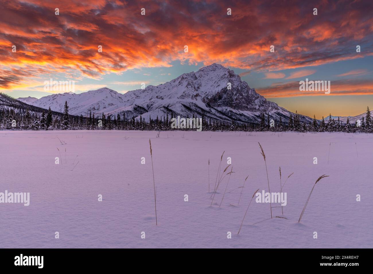 Lever de soleil sur le sommet de la montagne Dillon dans les monts Philip Smith de la chaîne Brooks, Alaska, États-Unis Banque D'Images