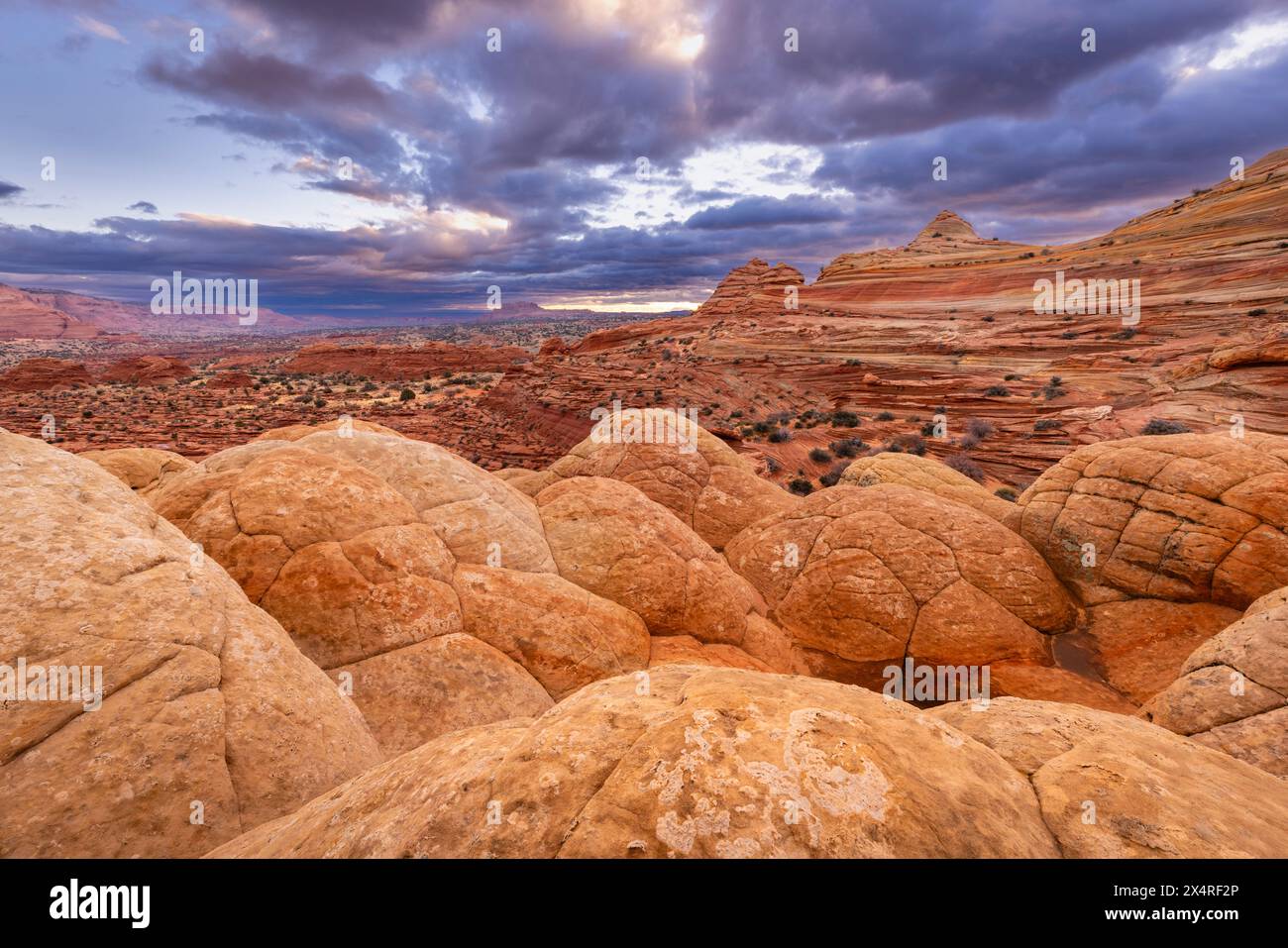 Tipis au lever du soleil près de la vague, Coyote Buttes North à Paria Canyon, Vermilion Cliffs National Monument, Arizona, États-Unis Banque D'Images