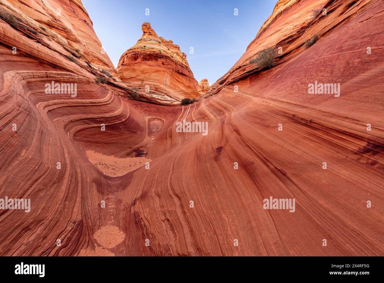 Formation de roches ondulées au coucher du soleil, South Coyote Buttes à Paria Canyon, Vermilion Cliffs National Monument, Arizona, États-Unis Banque D'Images