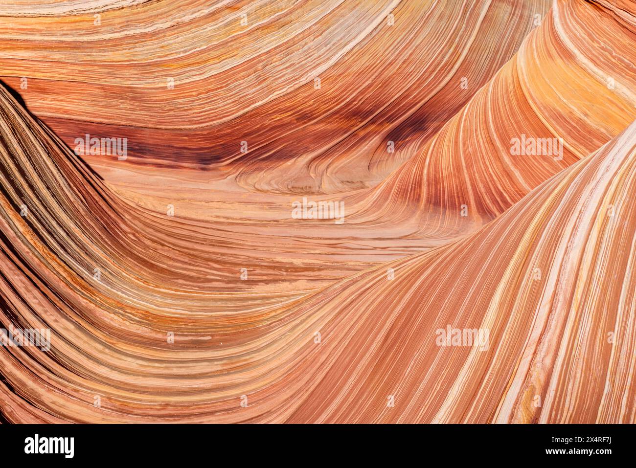 Formation rocheuse Wave, Coyote Buttes North à Paria Canyon, Vermilion Cliffs National Monument, Arizona, États-Unis Banque D'Images