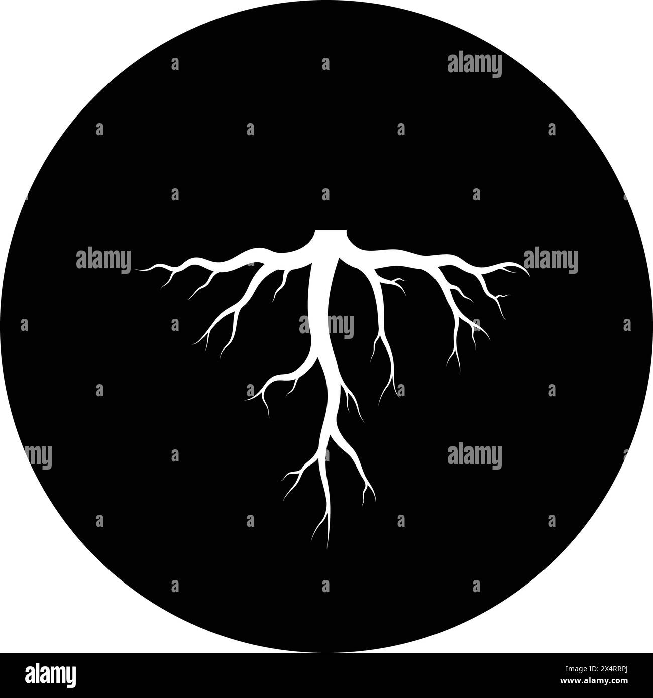 illustration de conception de modèle d'icône de racine d'arbre Illustration de Vecteur