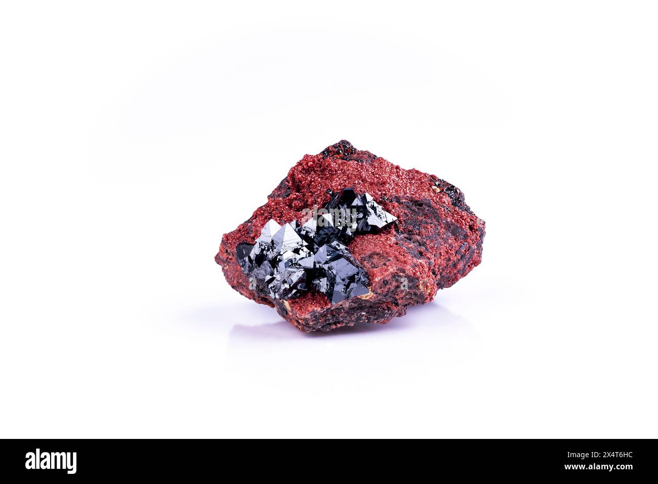 Hausmannite noire sur andradite rouge, photographie isolée sur fond noir blanc. De la mine NChwaning II, Kuruman, Kalahari, Province du Cap Nord, Sout Banque D'Images