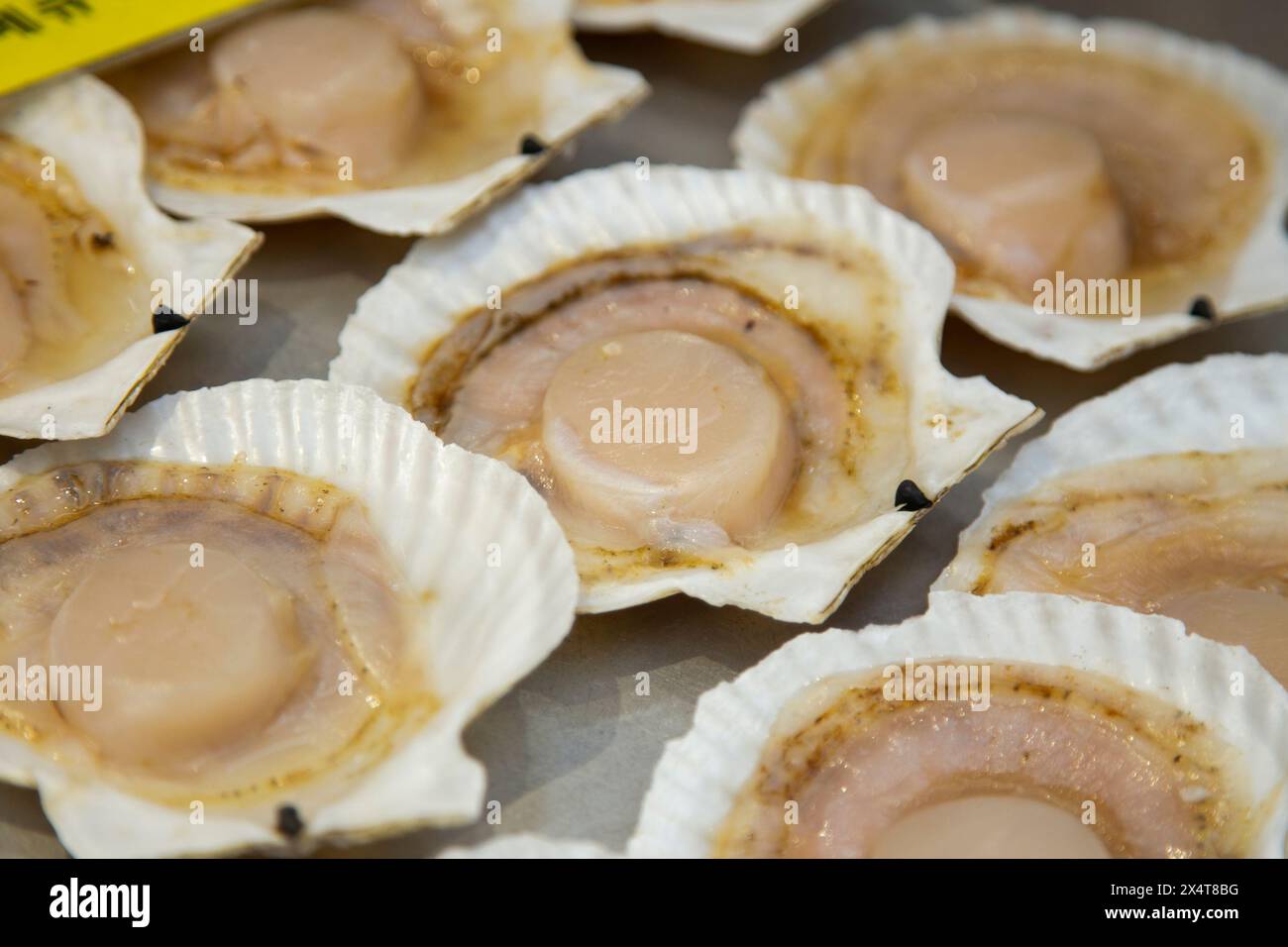 Coquille de fruits de mer et poisson cuits sur un grill au marché aux poissons d'Osaka au Japon. Banque D'Images