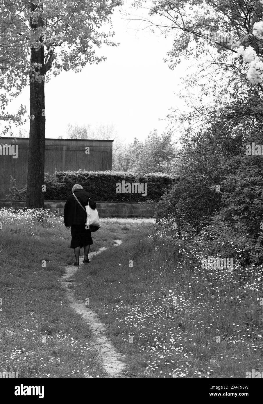 Femme âgée marchant seule dans le parc Banque D'Images