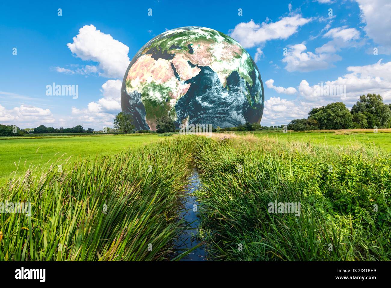 Sauvez la planète, Journée de la Terre, Journée mondiale de l'environnement et concept de conservation de la nature verte. Banque D'Images