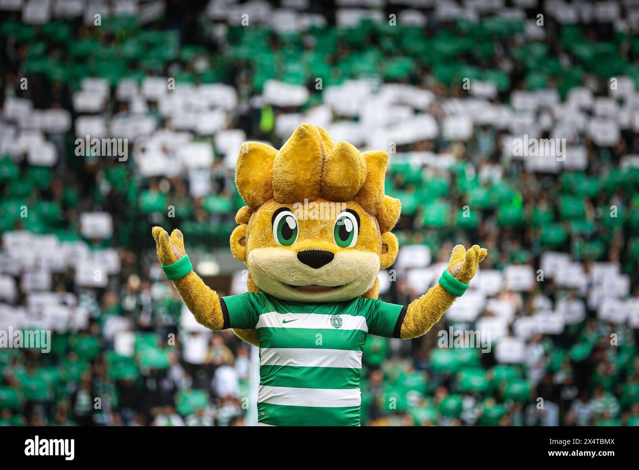 Lisbonne, Portugal. 04 mai 2024. Jubas de la mascotte Sporting CP vu lors du match Liga Portugal Betclic entre Sporting CP et Portimonense SC à l'Estadio Jose Alvalade. (Score final : Sporting CP 3 - 0 Portimonense SC) (photo David Martins/SOPA images/SIPA USA) crédit : SIPA USA/Alamy Live News Banque D'Images