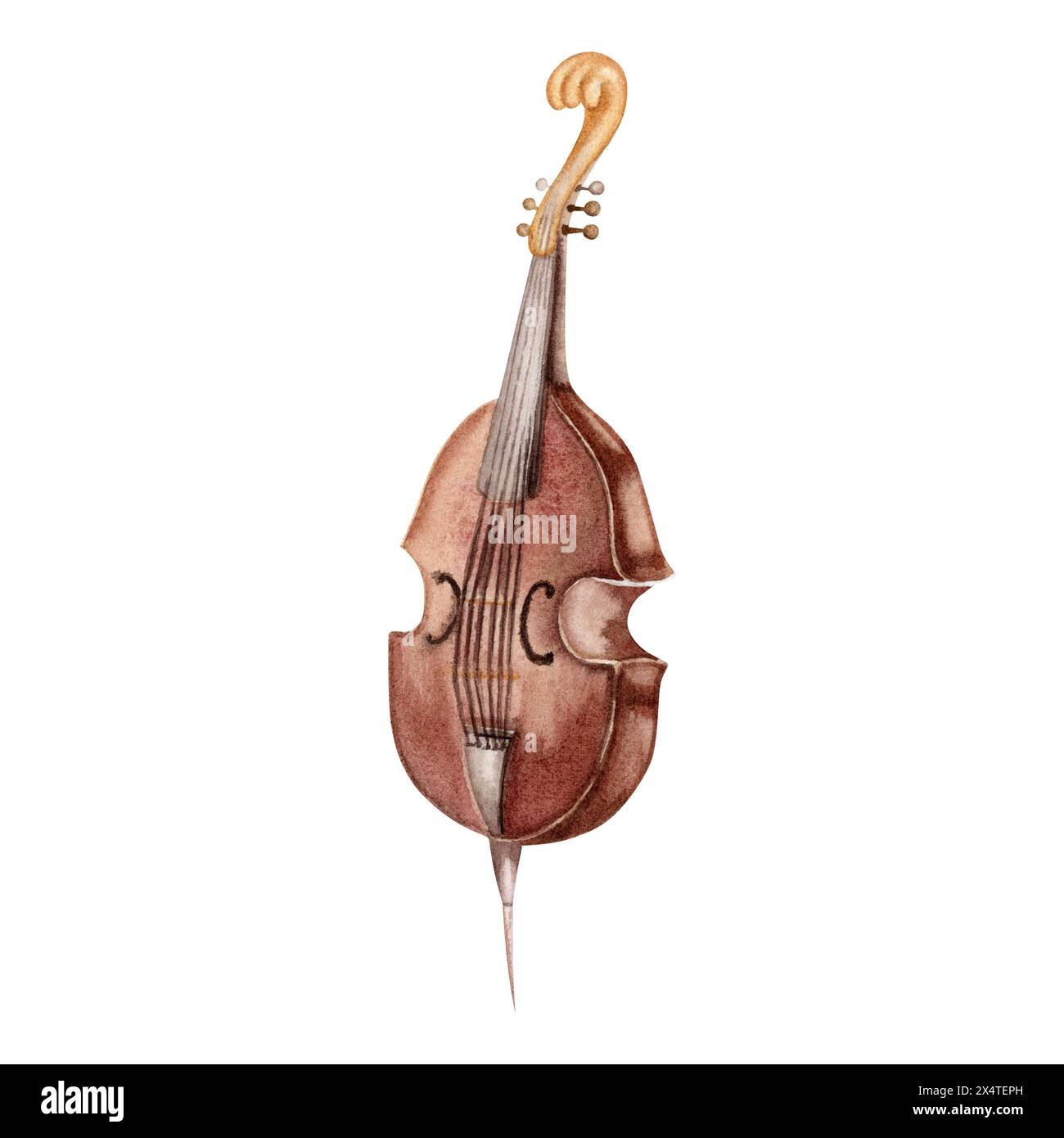 Instrument de musique vintage double Bass. Viole de gamba à cordes classique. Illustration d'aquarelle dessinée à la main isolée sur fond blanc. Pour symphonie Banque D'Images
