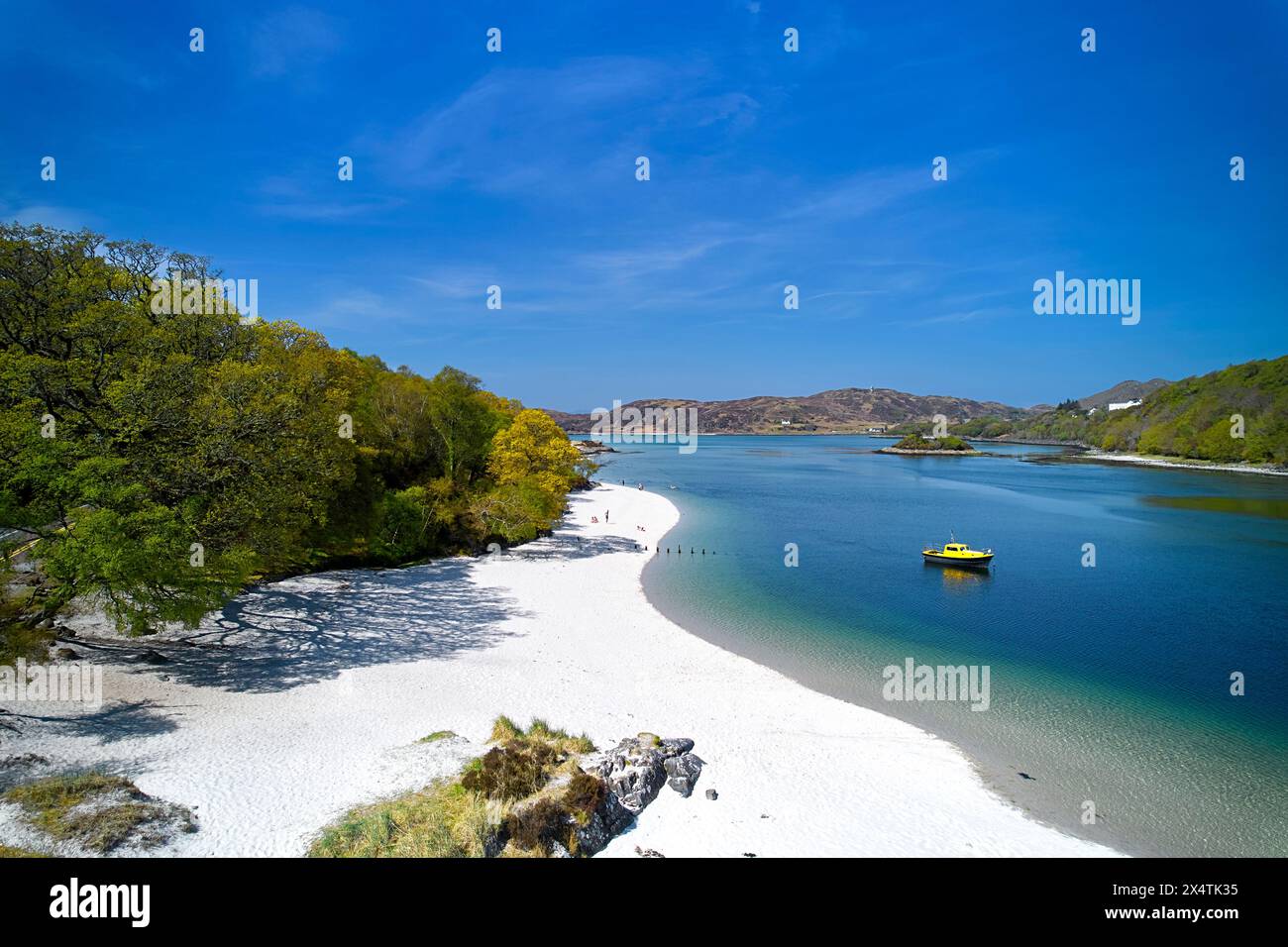 Sables argentés de Morar Highland Scotland arbres au printemps et une plage de sable blanc avec une mer bleu vert à marée haute Banque D'Images