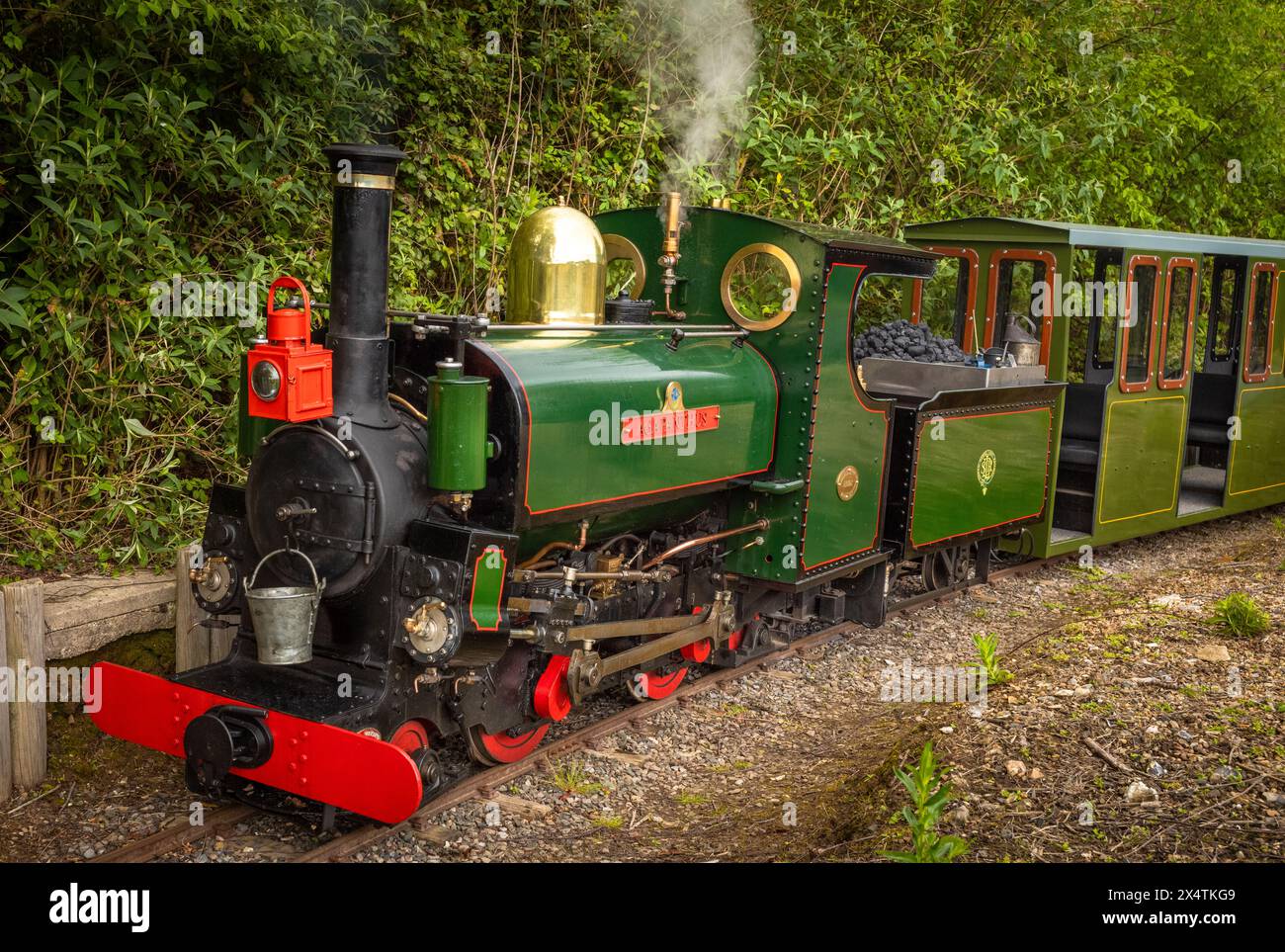 L'Agapanthus, une locomotive à vapeur miniature et ses wagons à South Downs Light Railway, Pulborough, Royaume-Uni Banque D'Images