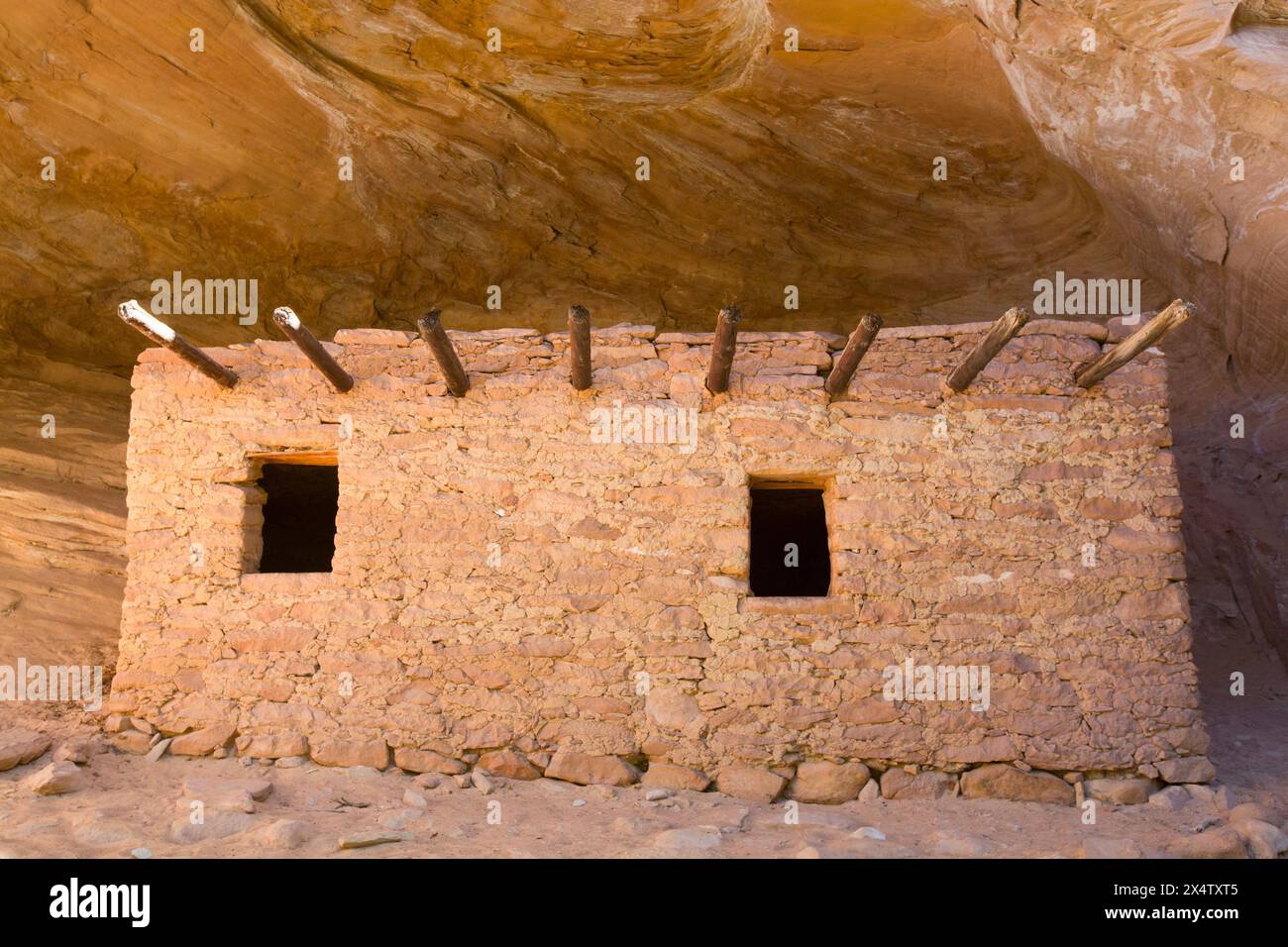 The Doll House, ancestral (Anasazi) Pueblo building, 1150-1250 AD, Bears Ears National Monument, Cedar Mesa, Utah, États-Unis Banque D'Images